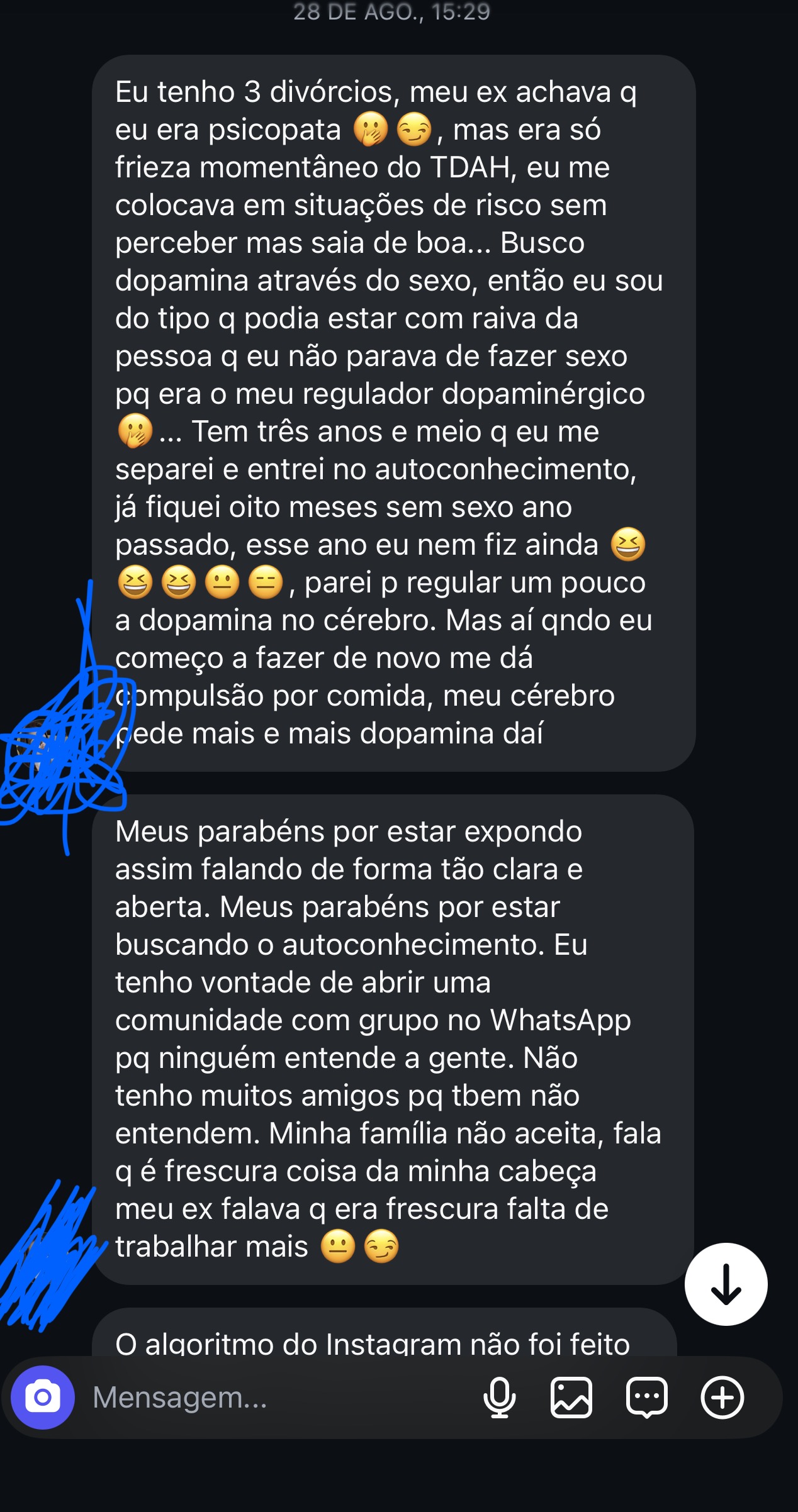 Print original de conversa recebida no Instagram — mensagem 12